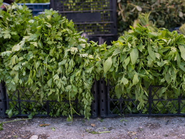 istock fresh parsley at the local market 1497781726