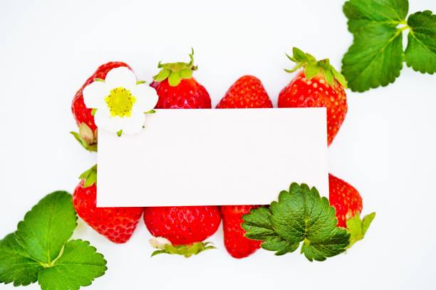 istock mock-up of a spring-like title frame with red strawberries on a white fluffy fabric background. 1497782481
