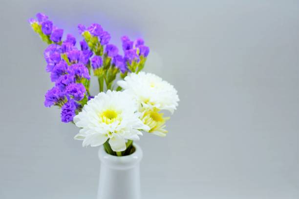 白い背景に白い菊と紫色のスターティス仏花が陶器の花の上に立っています。
