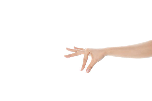 istock Female hand put or holds something with her fingers isolated on white background with clipping path. 1497785453