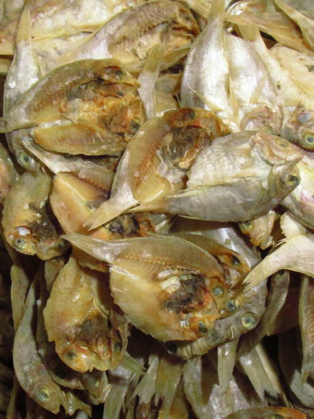 istock salted fish in the market 1497789235