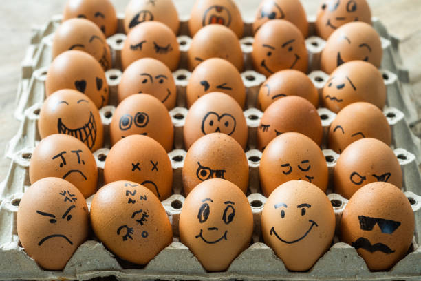 istock Eggs with many emotions in pit tray isolated on white background.Chicken eggs with drawn face emotions,Easter eggs in a tray with a smile 1497791049