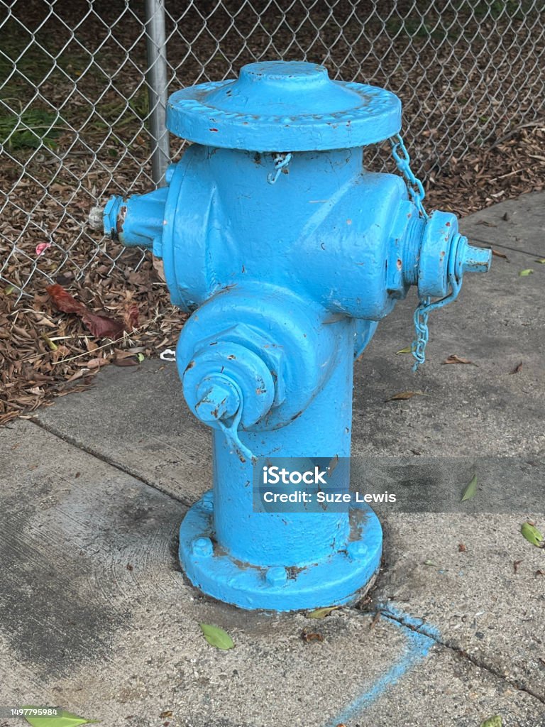 Plugged Hydrant Blue Fire Hydrant Stock Photo - Download Image Now - Accidents and ...