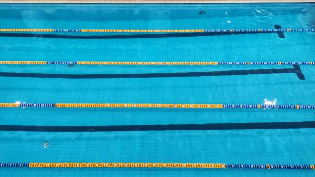 istock Lanes of a competition swimming pool 1497797225