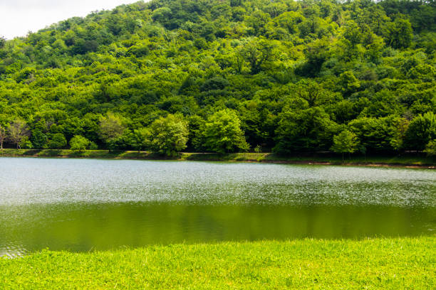 istock Kvareli lake landscape and view 1497797687