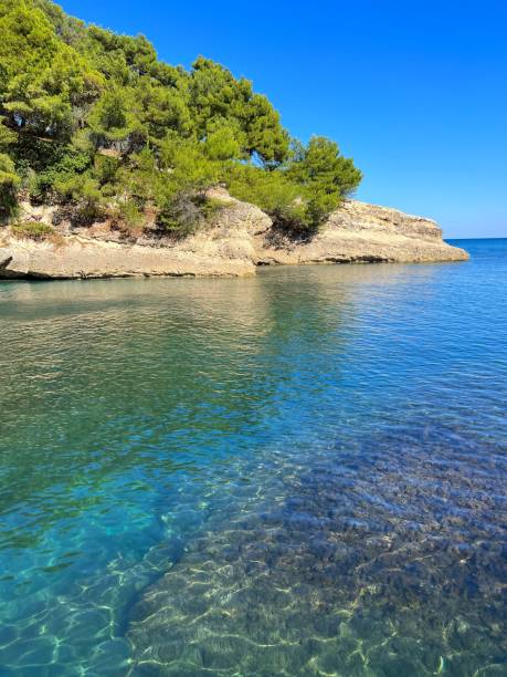 istock Sea bay blue turquoise water and pine island. 1497804875