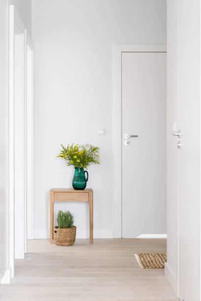 istock corridor with decor and plants at stylish apartment 1497807561