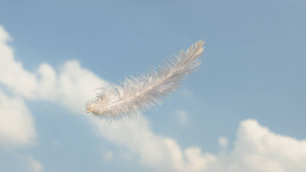 istock Beautiful Soft and Light White Fluffy Feathers Floating inThe Sky with Clouds 1497812994