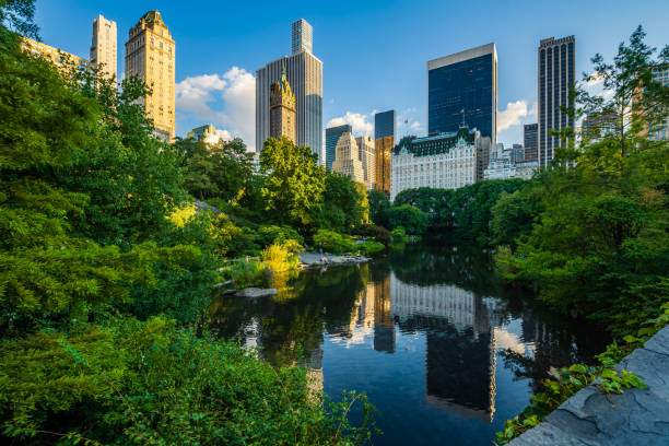 lo stagno a central park a new york city. - central park foto e immagini stock