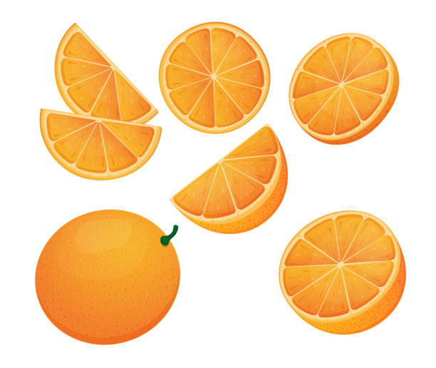 ilustrações, clipart, desenhos animados e ícones de conjunto laranja, metade de um laranja, fatias laranjas, desenhos animados, ilustração vetorial para design - citrus fruit orange mandarin orange tangerine