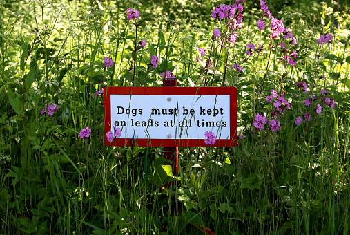 Doga to be kept on leads at all times signboard in a country park