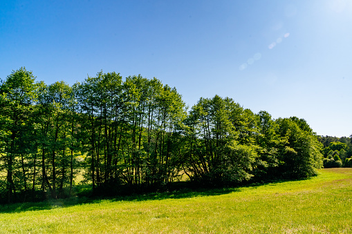 Tranquility of a sunny summer day with a clear blue sky. The serene scene features a vast green field stretching into the distance, complemented by a lush canopy of green trees. The sun, prominently visible in the shot, creates glares that add a touch of brightness to the image. With its non-fictional representation, this photograph encapsulates the peaceful ambiance of a sunlit day, highlighting the natural beauty of the green landscape under the clear blue sky.