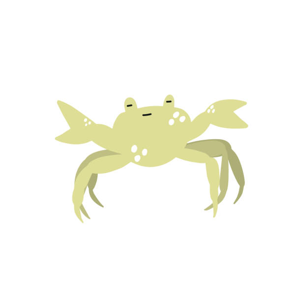 istock Cute crab in Scandinavian style on a white background. Vector hand drawn kids illustration. Sea ocean. Underwater world 1497831768