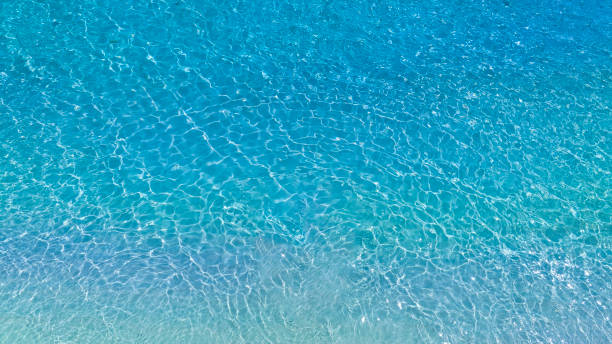 istock Tropical beach water  with crystal clear water on beach background 1497831957