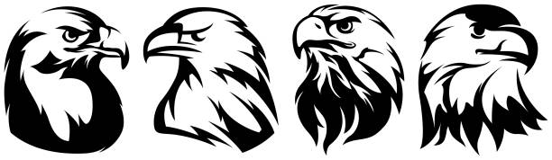 Hand drawn eagle head emblem set. Mascot bird collection. Predator logo illustration isolated on white. Hand drawn eagle head emblem set. Mascot bird collection. Predator logo illustration isolated on white. eagle stock illustrations