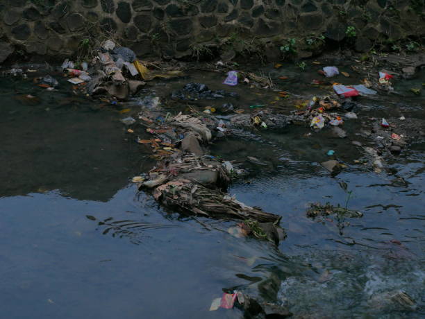 istock Piles of garbage in a river whose water is receding 1497832458