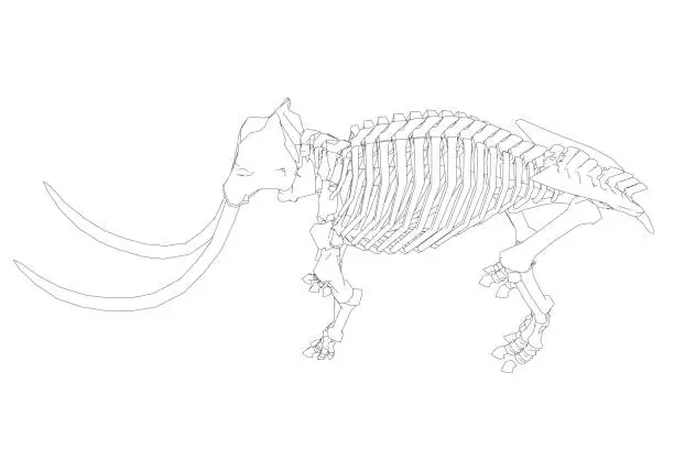 Vector illustration of Vector Illustration of outline Mammoth Skeleton on Isolated White Background. Vector prehistoric contour skeleton of mammoth on white background isolated illustration