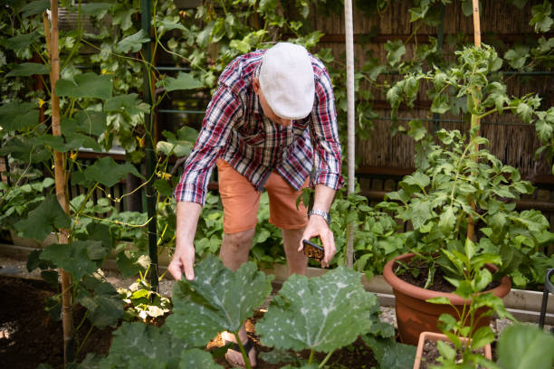 istock You have to come and see my vegetable garden 1497849622
