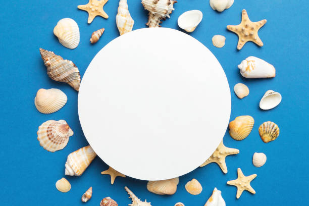 istock Summer time concept with blank greeting card and blank white paper on colored background. Seashells from ocean shore in the shape of frame separated with space for text top view 1497852121