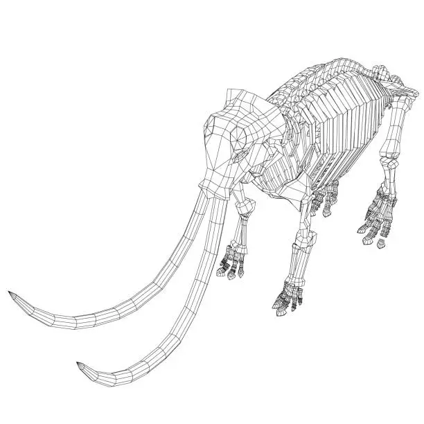 Vector illustration of Vector Illustration of wireframe Mammoth Skeleton on Isolated White Background. Vector prehistoric wireframe skeleton of mammoth on white background isolated illustration