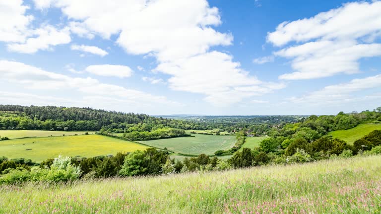 Surrey sunny day England