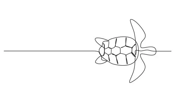 Vector illustration of single line drawing of sea turtle