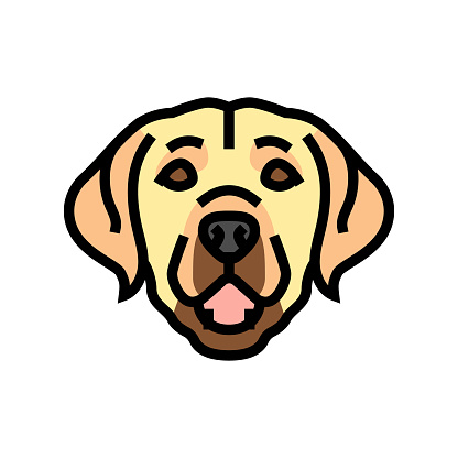 labrador retriever dog puppy pet color icon vector. labrador retriever dog puppy pet sign. isolated symbol illustration