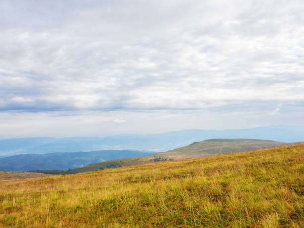 istock mountain landscape with grassy meadow 1497859653