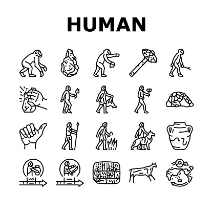 human evolution man caveman icons set vector. monkey evolve, ape darwin, theory computer, history homo, anthropology human evolution man caveman black contour illustrations