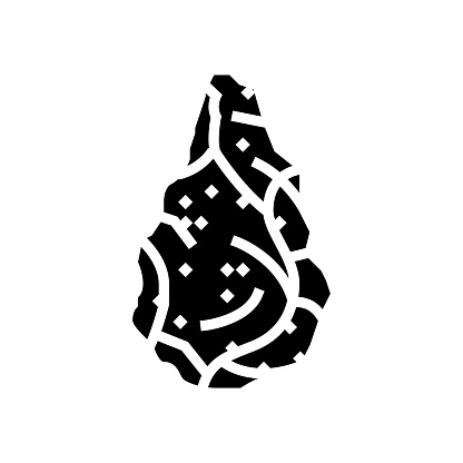homo habilis tool human evolution glyph icon vector. homo habilis tool human evolution sign. isolated symbol illustration