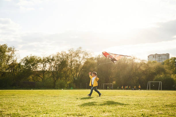 istock Distant view. Little boy is playing with a kite on the field at summer time 1497868027