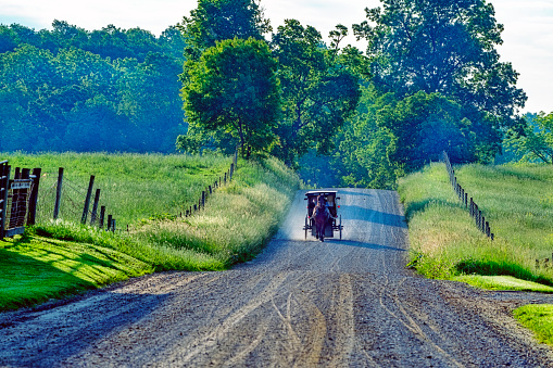 An Amish buggy creates dust on a gravel road in early summer.