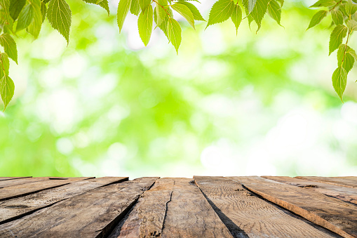 Empty wooden table with defocused foliage at background