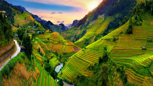 belle terrazze di riso al punto panoramico di mu cang chai, vietnam. - sa pa foto e immagini stock