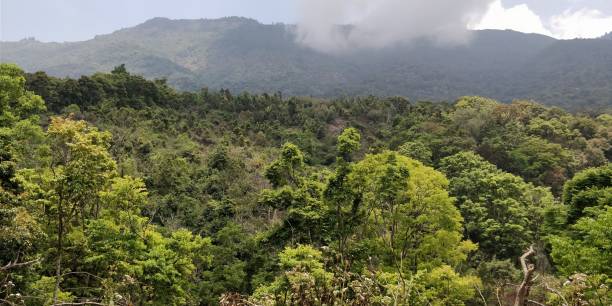 istock Scenic view of lush greenery with mountains in the background 1497876542
