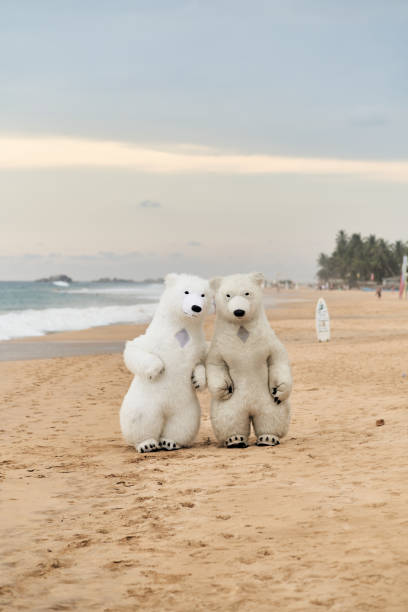 istock Animators dressed as polar bears entertain people on the beach 1497876615