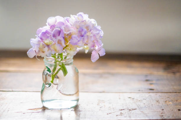 istock Japanese hydrangea on a desk in a vase. 1497877454
