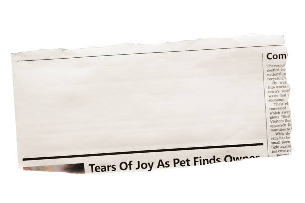 istock Newspaper clipping with blank space for your copy 1497877627