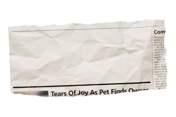 istock Wrinkled newspaper clipping with blank space for your copy 1497877749