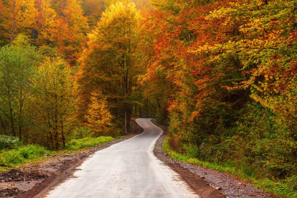 istock Beautiful autumn landscape 1497880822