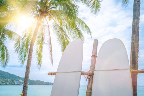 istock Surfboards beside coconut trees at summer beach with sun light and blue sky background. 1497882103