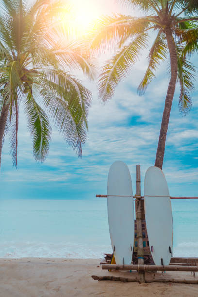 istock Surfboards beside coconut trees at summer beach with sun light and blue sky background. 1497882117