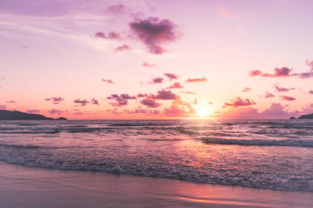 istock Tropical summer beach sand and beautiful sky with coconut palm tree background. 1497882334