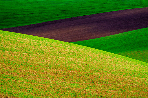 Rolling hills with fields suitable for backgrounds or wallpapers, natural geometric seasonal landscape.