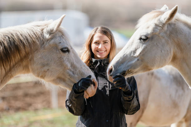 young woman in black riding jacket standing near group of white arabian horses smiling happy, one on each side, closeup detail - horse arabian horse arabia white imagens e fotografias de stock