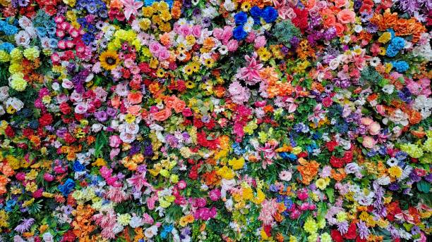 istock A beautiful wall of different flowers 1497884314