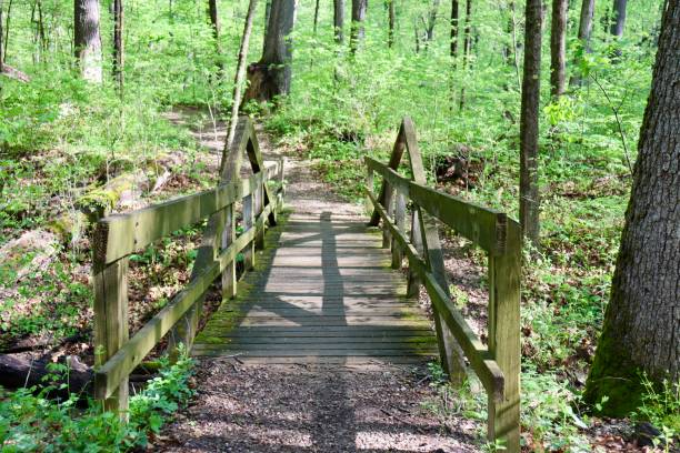 istock Front of Old Wood Footbridge 1497895207