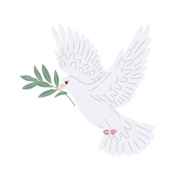 taubenvogel trägt einen olivenzweig - pacifism stock-grafiken, -clipart, -cartoons und -symbole