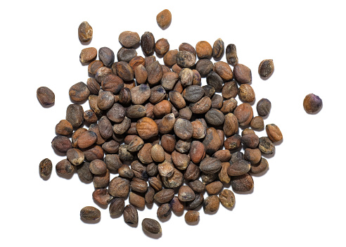 A close up shot of Hemp seeds filling the fram.