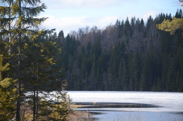 istock Beautiful lake in a forest Steinsholt, Norway. 1497901200